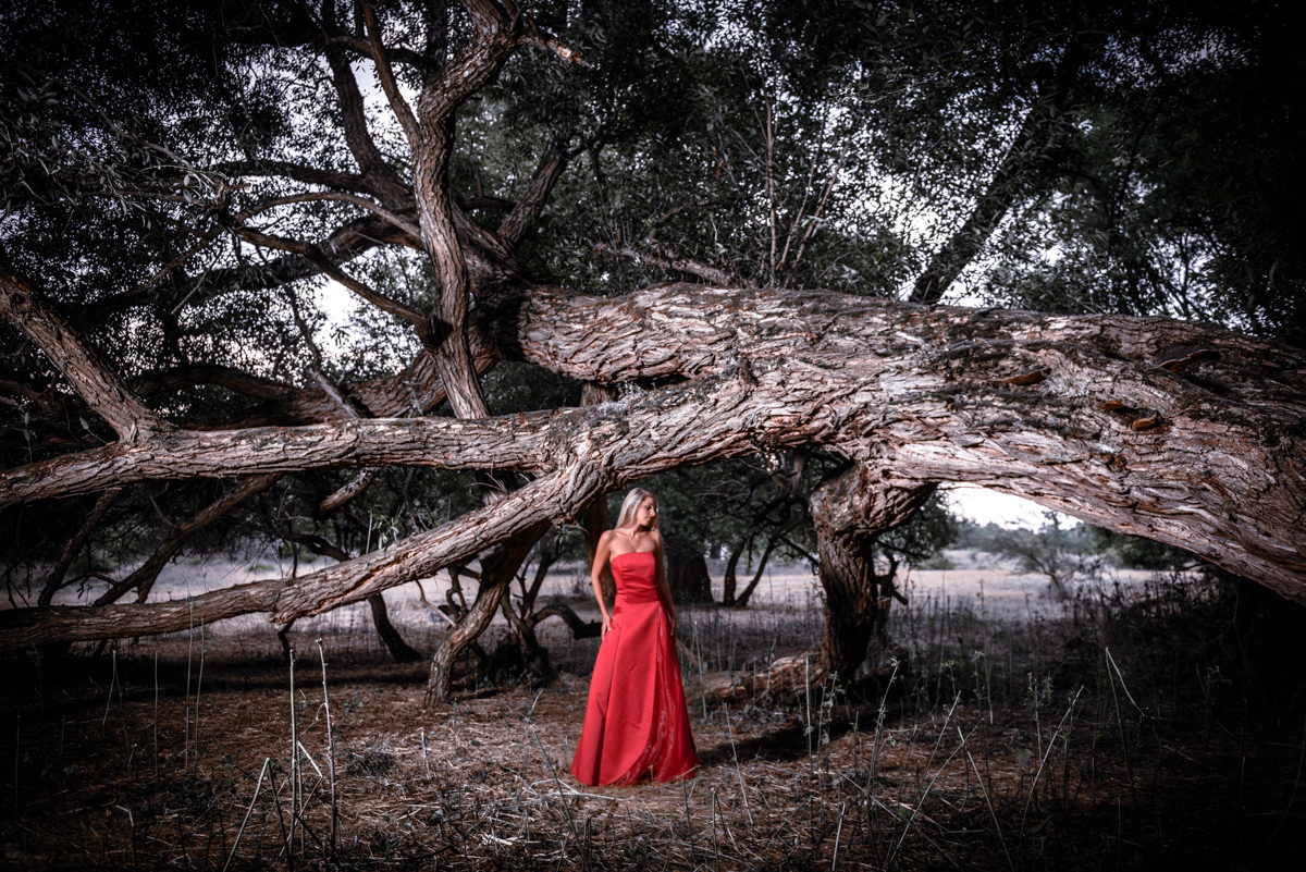 Portrait Frau Female rotes Abendkleid Baum Natur