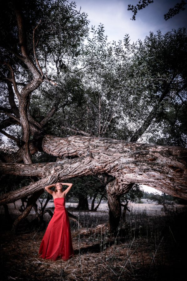 Portrait Frau Female rotes Abendkleid Baum Natur