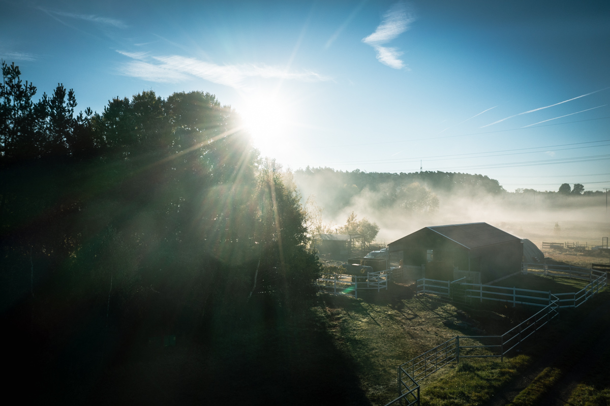 Morgennebel